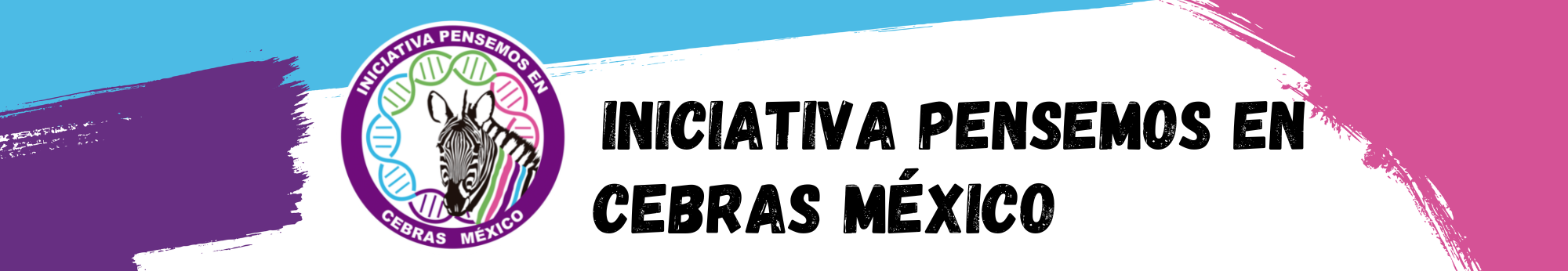 Iniciativa Pensemos en Cebras México